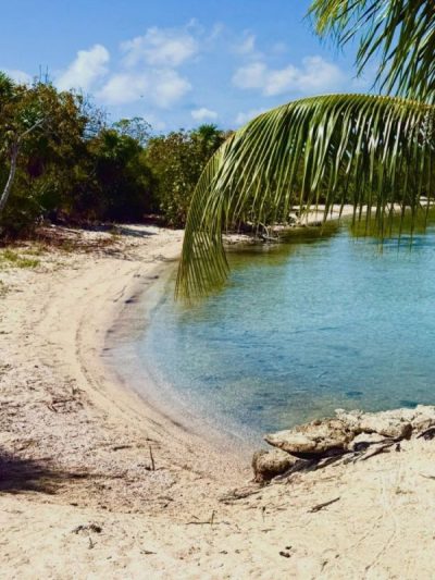 Ambergris Caye, Belize в мае — фото погоды (2026-05-03)