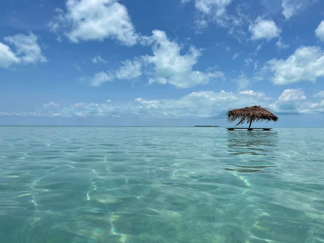 Погода в Ambergris Caye, Belize