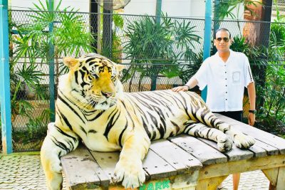 Tiger PARK Pattaya в июле — фото погоды (2026-07-20)