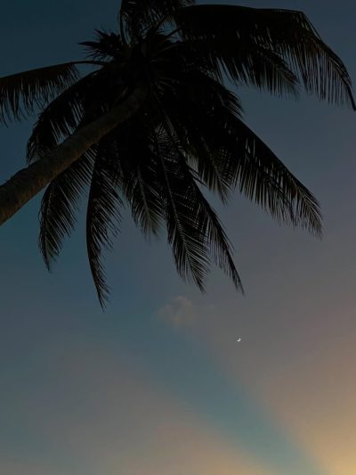 Cayo Coco, Cuba в декабре — фото погоды (2025-12-30)