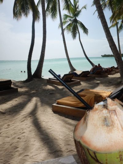 Saona Island в мае — фото погоды (2026-05-29)