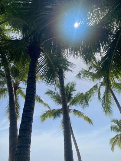 Saona Island в июне — фото погоды (2026-06-09)