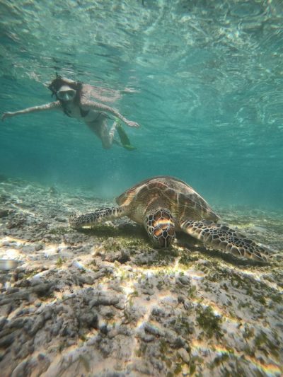 Gili Trawangan, Bali в июле — фото погоды (2026-07-20)