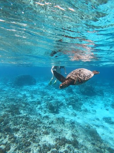 Gili Trawangan, Bali в июле — фото погоды (2026-07-20)