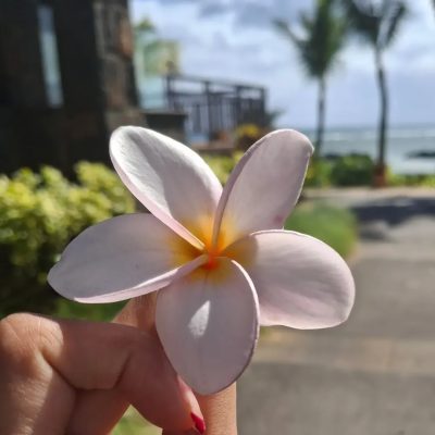 Balaclava Bay, Mauritius в июле — фото погоды (2026-07-07)