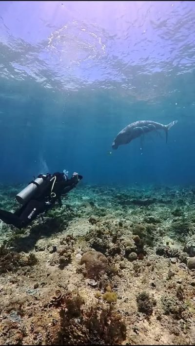 Coron Busuanga Palawan в декабре — фото погоды (2025-12-11)