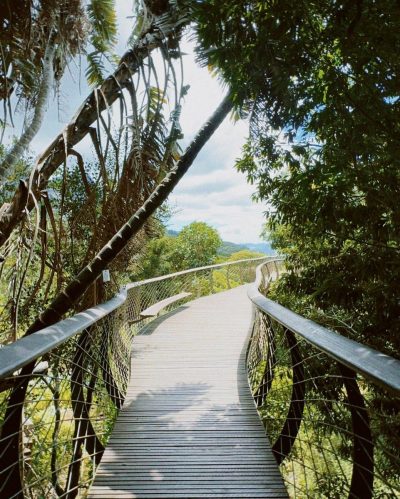 Kirstenbosch Botanical Gardens в январе — фото погоды (2024-01-19)