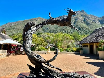 Kirstenbosch Botanical Gardens в апреле — фото погоды (2024-04-14)