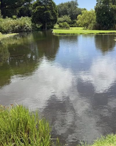 Kirstenbosch Botanical Gardens в январе — фото погоды (2026-01-29)