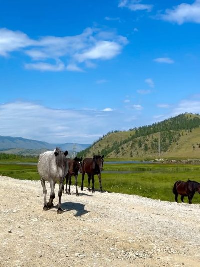 Khuxhir, Olkhon Island, Lake Baikal в июле — фото погоды (2026-07-20)