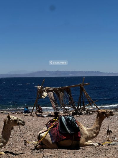 Blue Lagoon, Dahab, Sinai в июле — фото погоды (2026-07-08)