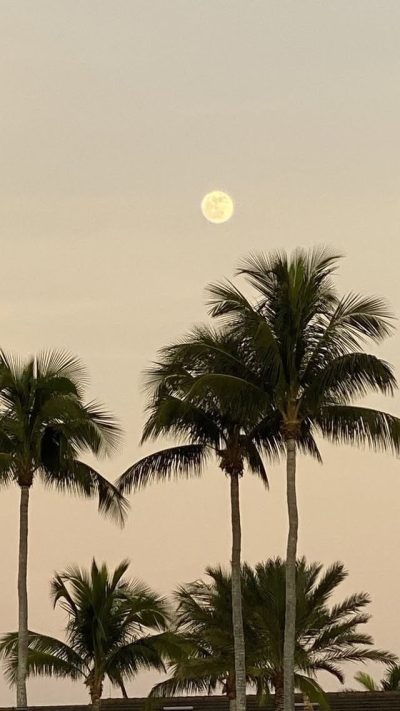 Balaclava Bay в феврале — фото погоды (2025-02-02)