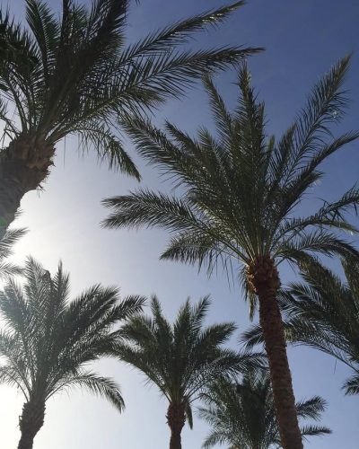 Sonesta Beach Resort, Sharm El Sheikh — фото погоды в марте (2018-03-06)