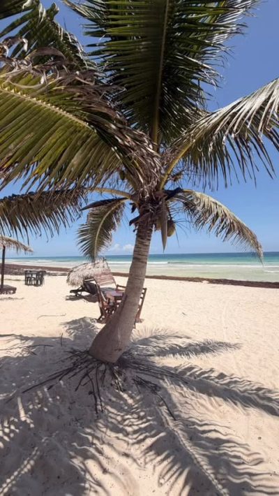 Sian Ka'an Mexico в апреле — фото погоды (2026-04-07)