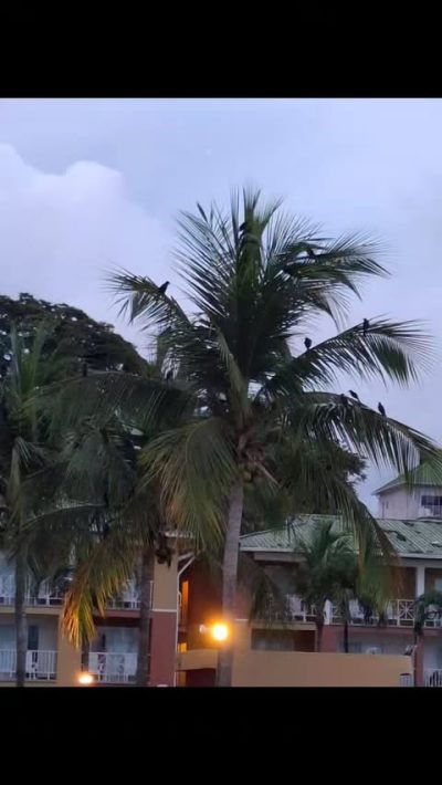 Playa Blanca, Farallon в сентябре — фото погоды (2025-09-29)
