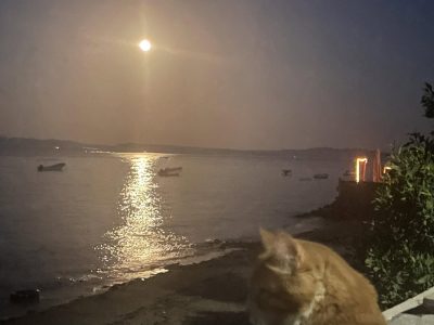 Assala, Dahab. в мае — фото погоды (2026-05-01)