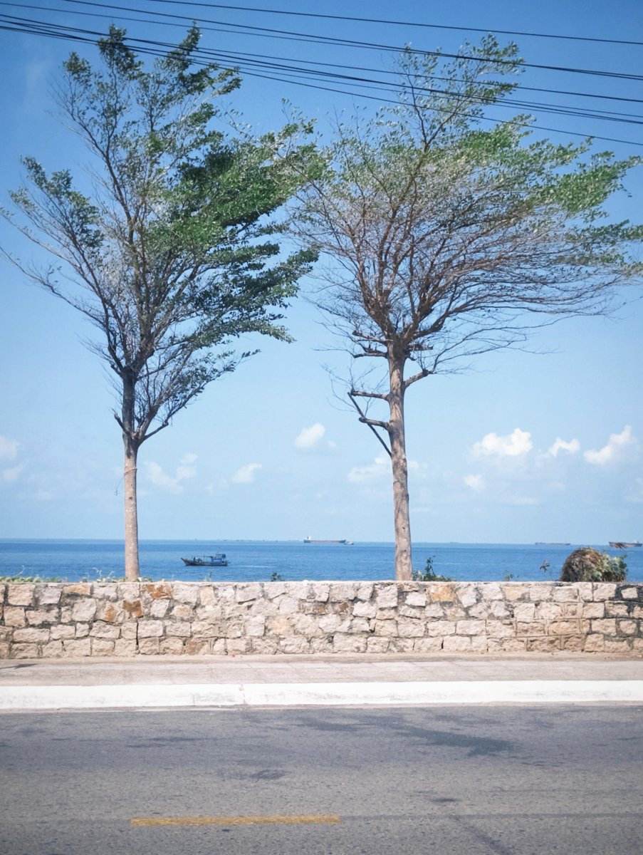Погода в Mũi Nghinh Phong