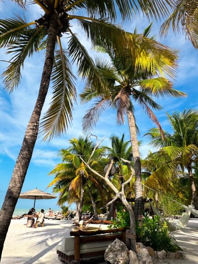 Holbox Island, Mexico в июне — фото погоды (2026-06-14)