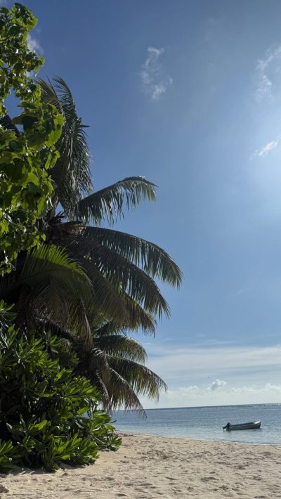 Anse Cocos, La Digue в декабре — фото погоды (2025-12-31)