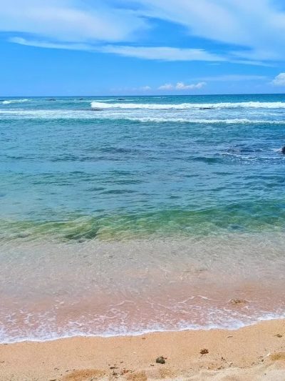 Tangalle Beach, Sri Lanka в апреле — фото погоды (2026-04-23)
