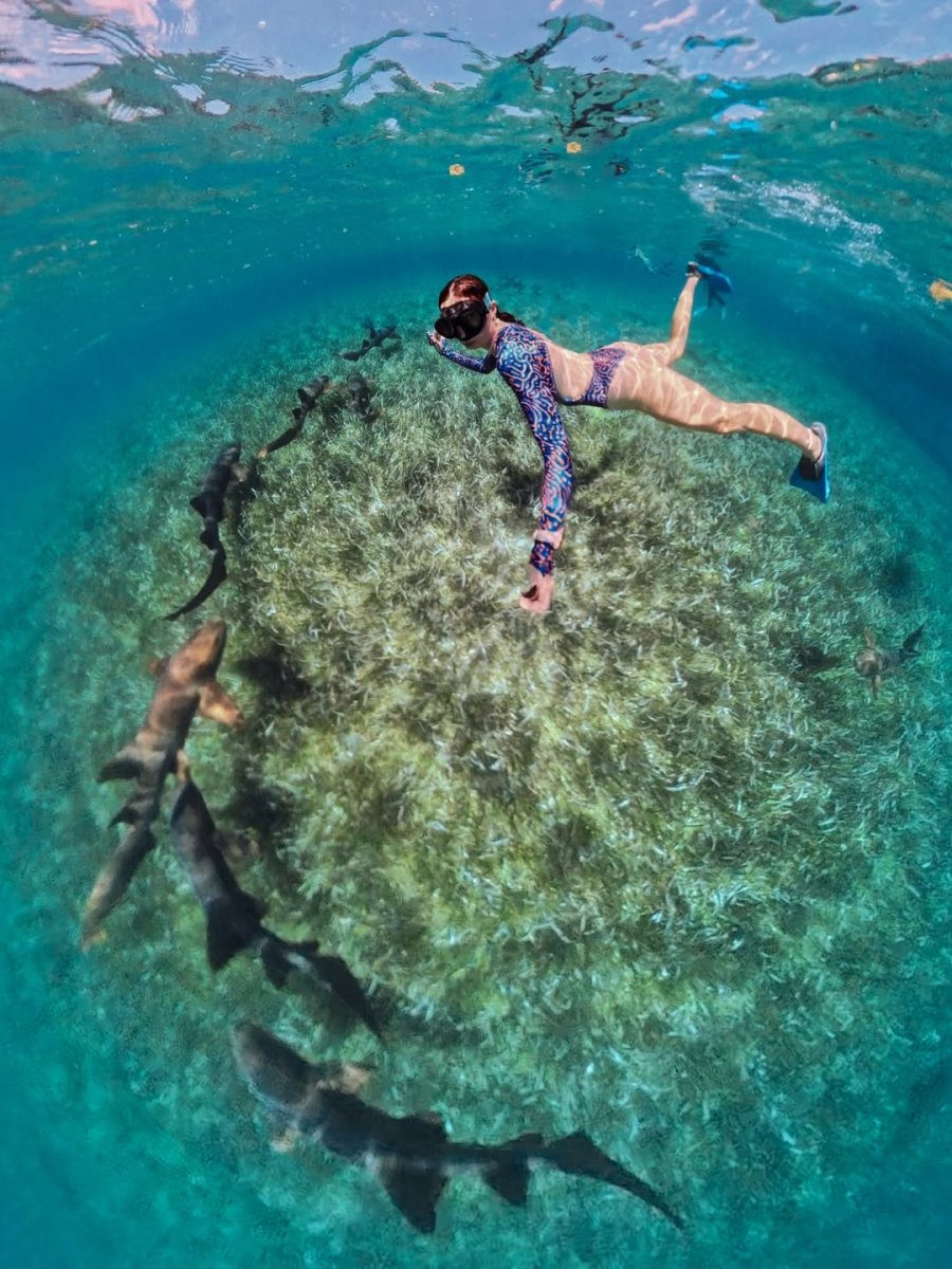 Погода в Shark Ray Alley