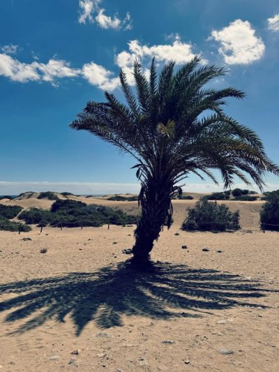 Dunas De Maspalomas — фото погоды в сентябре (2025-09-26)