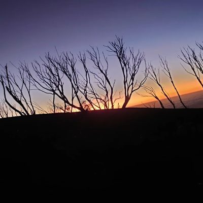 Kilimanjaro - Barafu Camp @ 4,900m в феврале — фото погоды (2026-02-06)