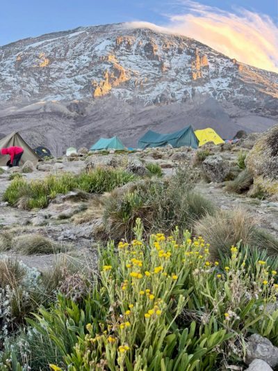 Kilimanjaro - Barafu Camp @ 4,900m в апреле — фото погоды (2026-04-24)