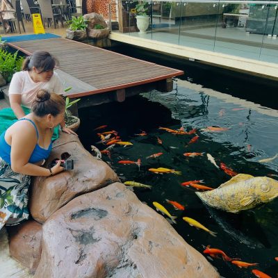 Coron Westown Resort - Palawan — фото погоды в июле (2026-07-02)