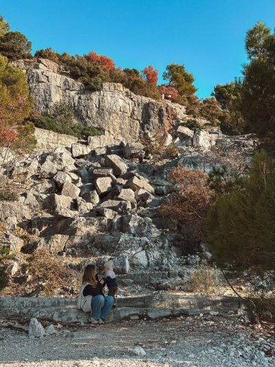 Park Suma Zlatni Rt в ноябре — фото погоды (2025-11-12)