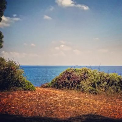 Park Suma Zlatni Rt в июне — фото погоды (2026-06-29)