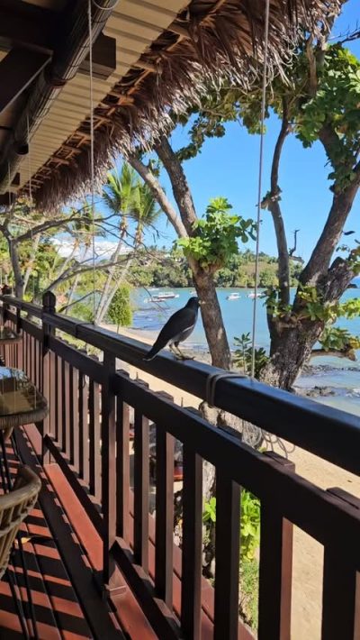Vanila Hotel & Spa Nosy Be — фото погоды в июле (2026-07-06)