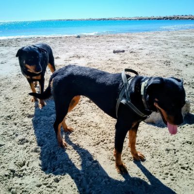 Platja de la Pineda в августе — фото погоды (2025-08-30)