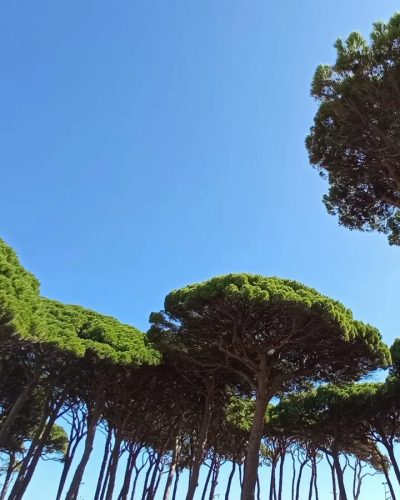 Platja de la Pineda в ноябре — фото погоды (2025-11-18)