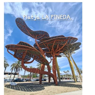 Platja de la Pineda в мае — фото погоды (2026-05-21)