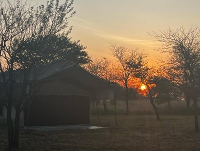 Thorn Tree Camp Serengeti в июне — фото погоды (2023-06-27)