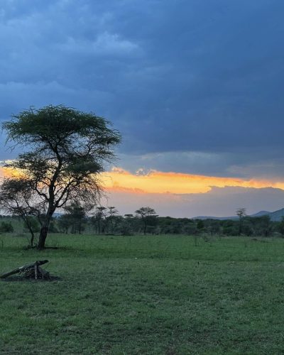 Thorn Tree Camp Serengeti в сентябре — фото погоды (2023-09-21)