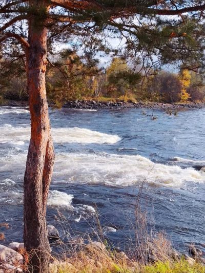 река Вуокса в декабре — фото погоды (2025-12-05)