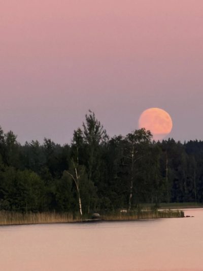 река Вуокса в июле — фото погоды (2026-07-01)