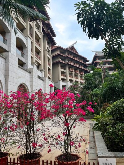 Haikou Marriott Hotel — фото погоды в декабре (2025-12-28)