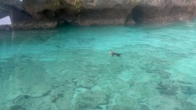 Monkey Bay - Phi-Phi Island в ноябре — фото погоды (2025-11-03)