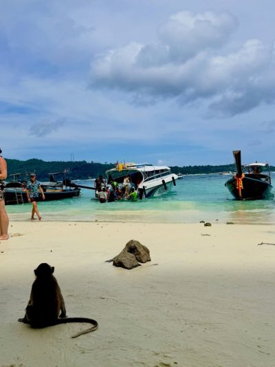 Monkey Bay - Phi-Phi Island в январе — фото погоды (2026-01-18)