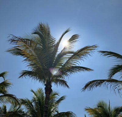 Riu Palace Riviera Maya — фото погоды в сентябре (2025-09-27)