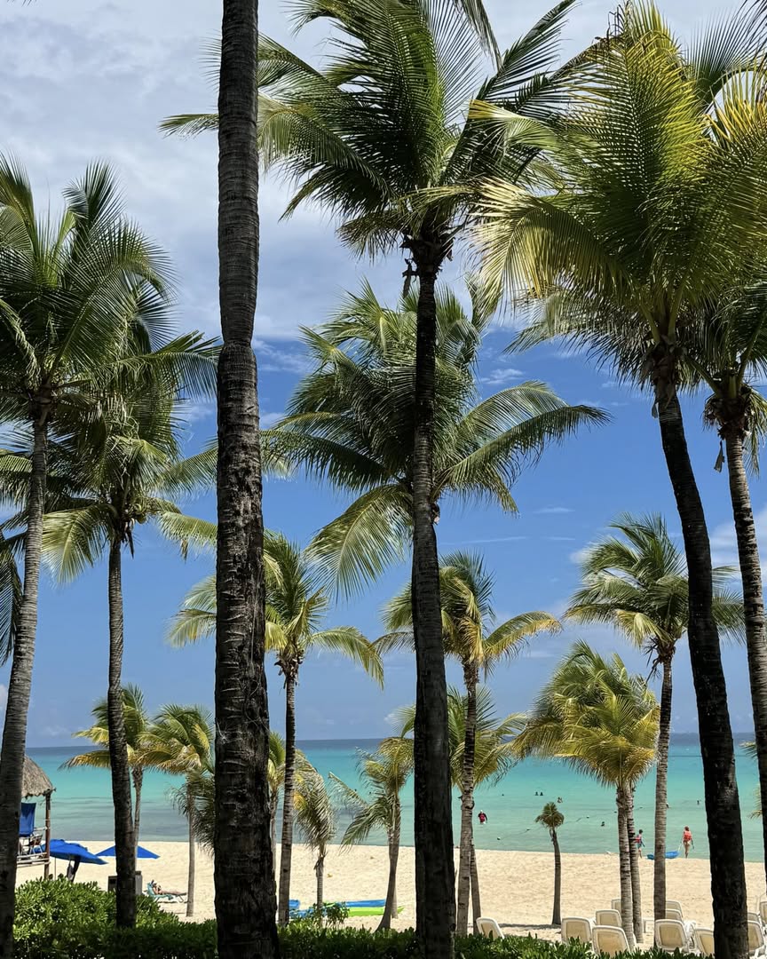 Погода в Riu Palace Riviera Maya