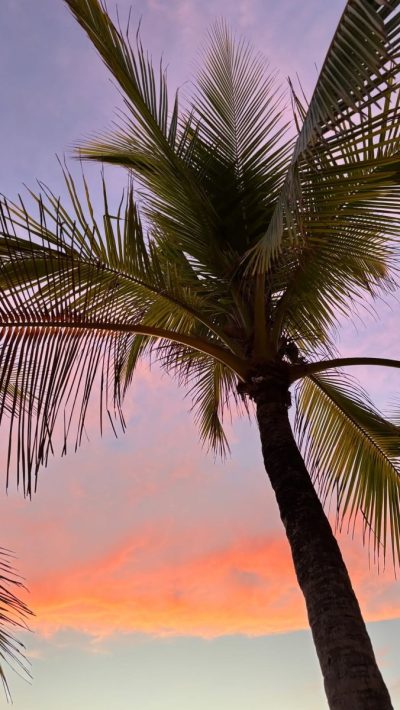 Lola's Playa Avellana, Costa Rica в июне — фото погоды (2026-06-25)