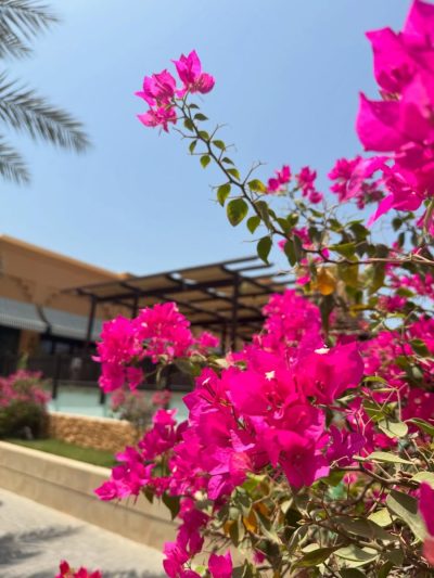 Rixos Beach в августе — фото погоды (2025-08-12)