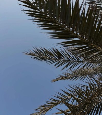 Rixos Beach в августе — фото погоды (2025-08-20)