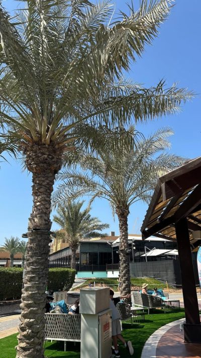 Rixos Beach в феврале — фото погоды (2026-02-21)