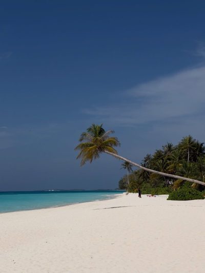 Sun Island Resort e spa Maldive — фото погоды в мае (2026-05-10)