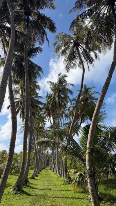 Sun Island Resort e spa Maldive — фото погоды в июне (2026-06-07)